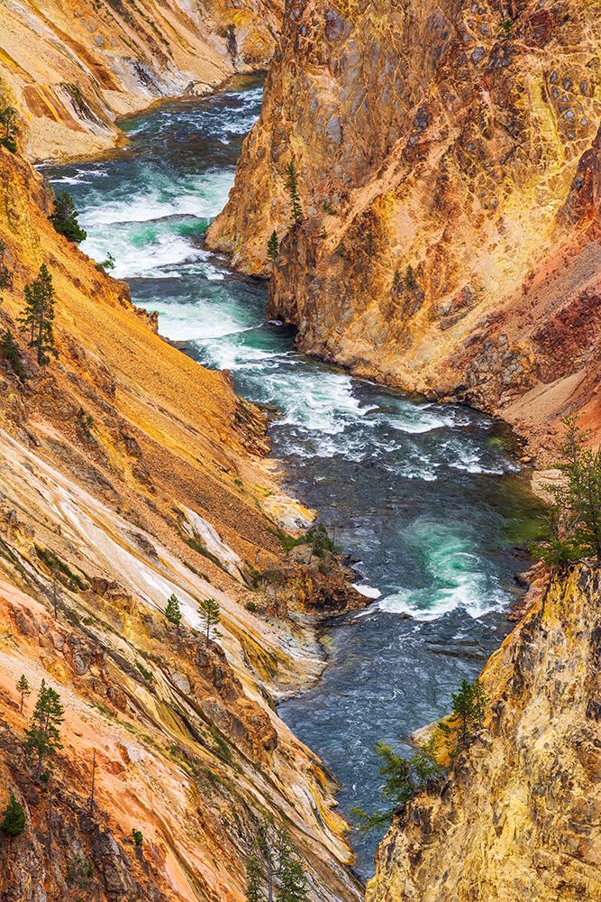 The Yellowstone River in the Grand Canyon of the Yellowstone-Yellowstone National Park-Wyoming-USA